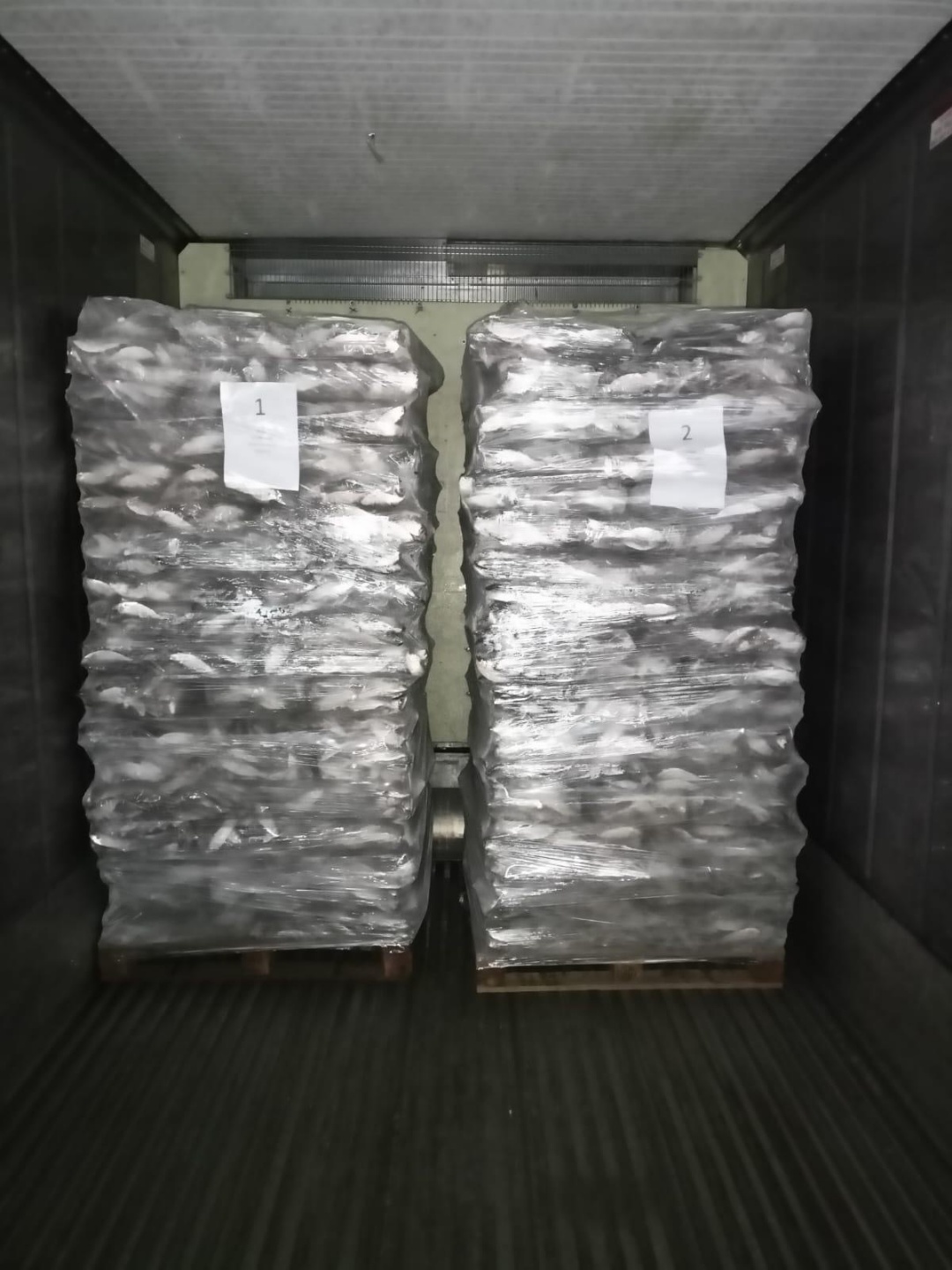 Frozen Feed in Container